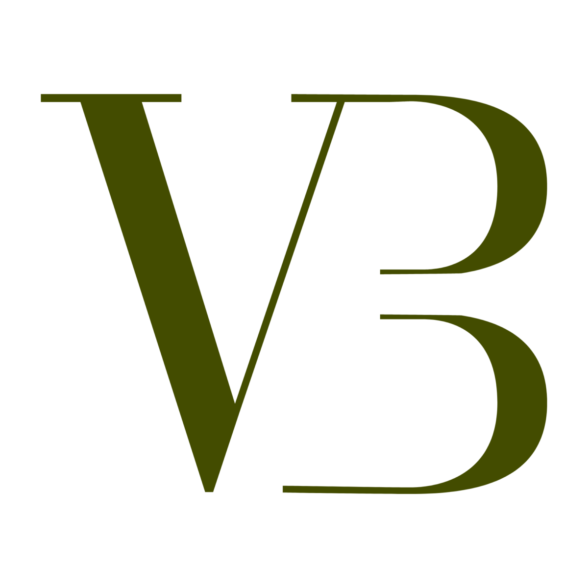 Logo Vélo blog